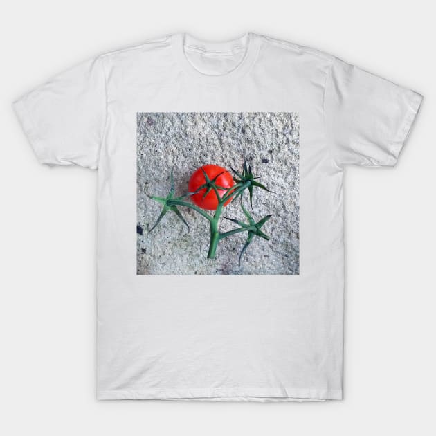 Ripe Red Tomato and Stems T-Shirt by oknoki